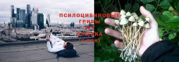 сатива Алзамай