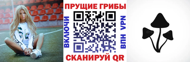 Псилоцибиновые грибы GOLDEN TEACHER  Берёзовский 